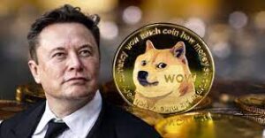 Dogecoin has rallied more than 145% in the last seven days